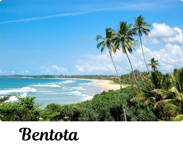 Bentota