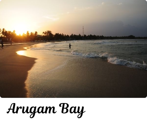 Arugam bay